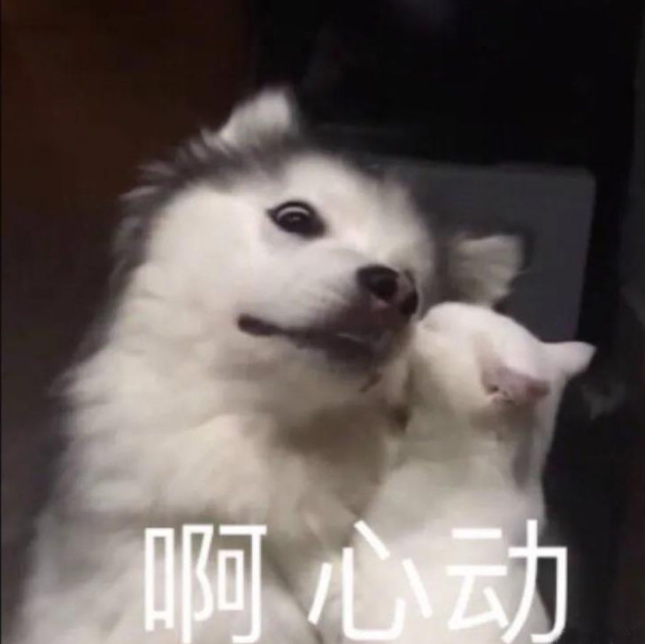 DƬ